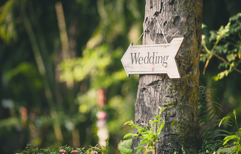 Hocking Hills Destination Wedding